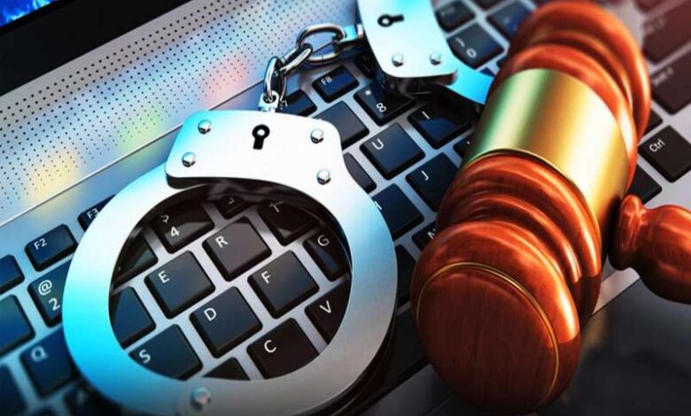Cyber Fraud 2