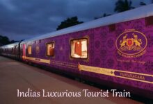 Golden Chariot Luxury Tourist Train 11