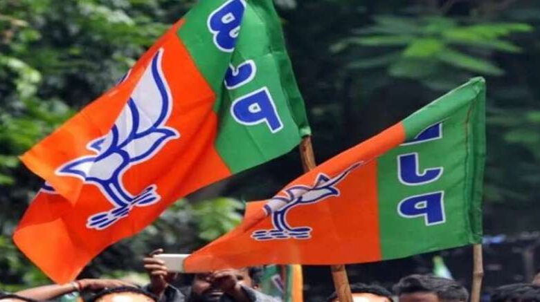 bjp2 3
