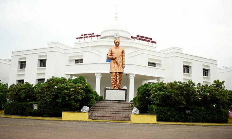 p dindyal