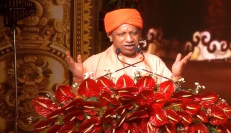 yogi 1730287568