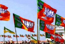 bjp 3 3