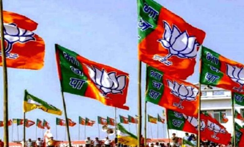 bjp 3 3