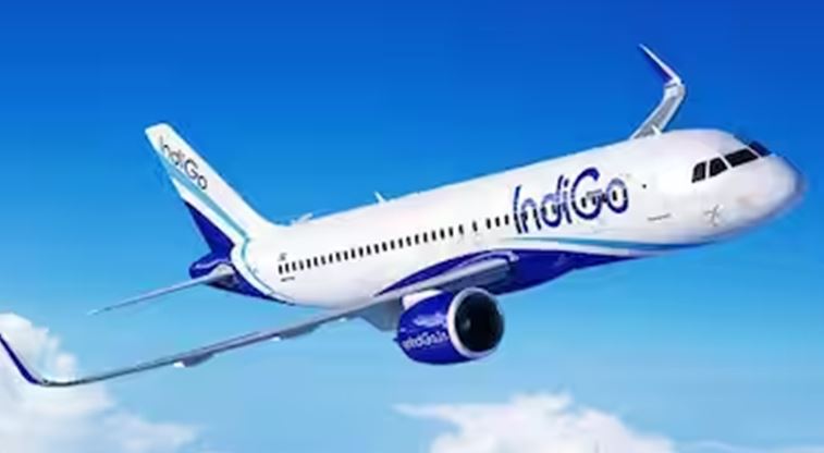 indigo1