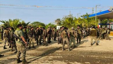 12 killed Naxalites by force in bijapur