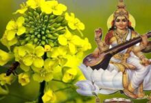 Basant Panchami 3