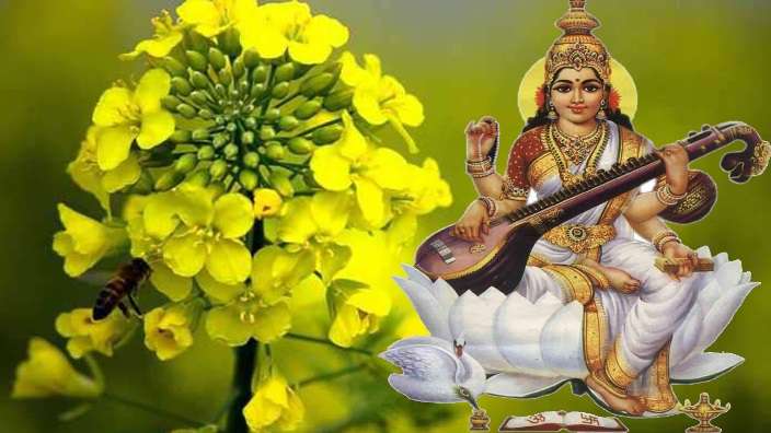 Basant Panchami 3