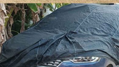 Cg 06 1 19