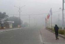 Cold Weather Bhopal 2 1