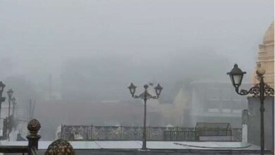 Cold Weather Bhopal 3