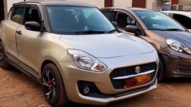 DeWatermark ai 1737007248664