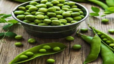 Farmers have expectations from the budget demand to fix MSP of peas
