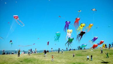 Makar Sankranti festival