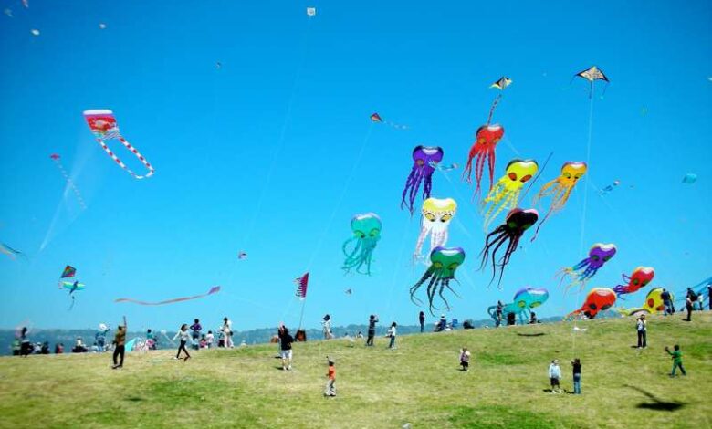 Makar Sankranti festival