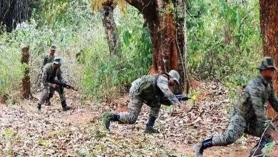 Naxalites killed Gariaband encounter 19 Naxalites killed 2 1