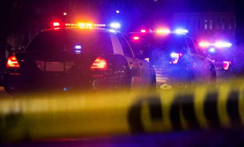 South American Police 2