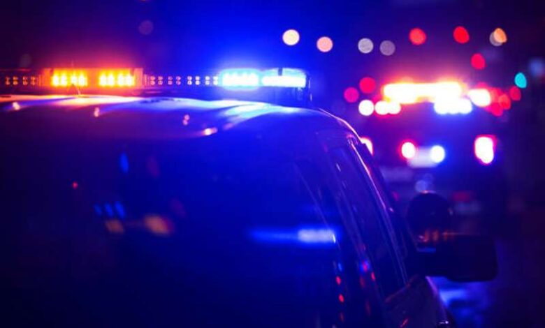 South American Police 3