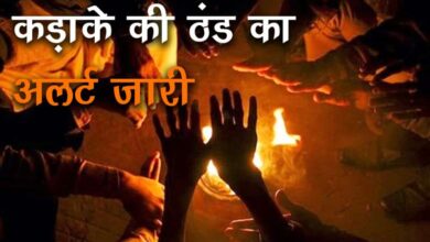 Weather Severe cold alert issued in MP