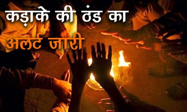 Weather Severe cold alert issued in MP