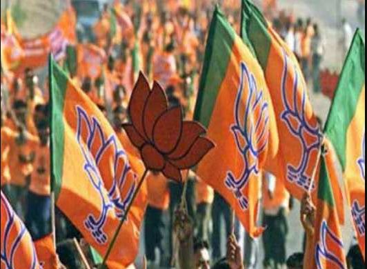 bjp4
