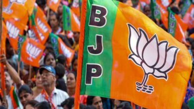 bjp53 3