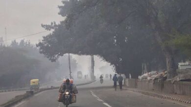 chhattisgarh weather cold 1