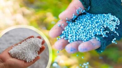fertilizer2