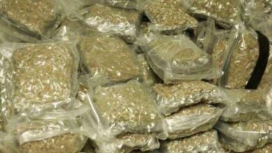 ganja seized 1546669810