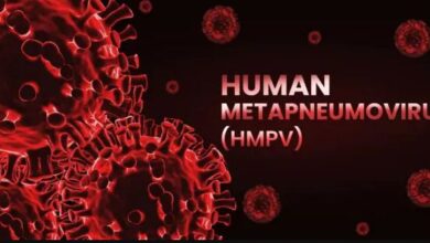 hmpv 1