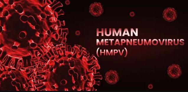 hmpv 1
