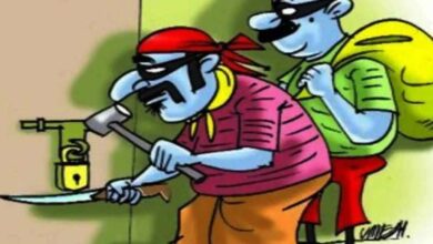 theft Both the brothers along with their relatives committed theft