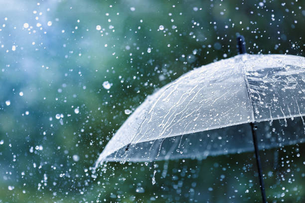 transparent umbrella under rain