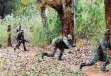 Naxalites killed Gariaband encounter 19 Naxalites killed 2