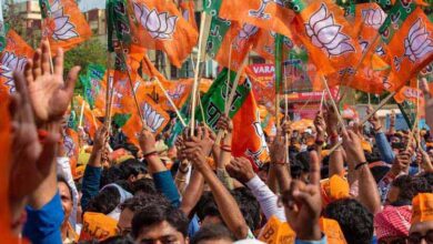 bjp1 4