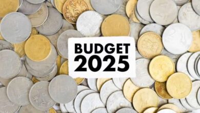 budget 2025 1295536815 2
