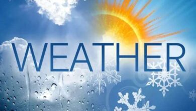 weather 7 1