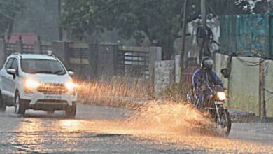 rain A 36 3 5
