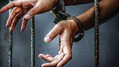 arresteda 132 2 3