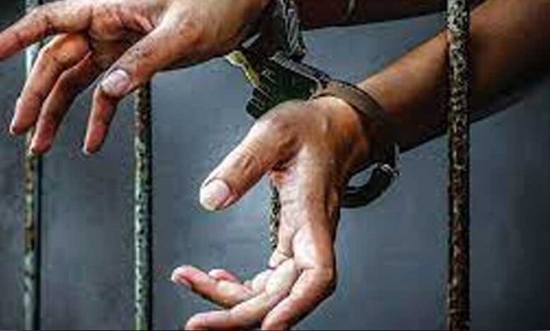 arresteda 132 2 3