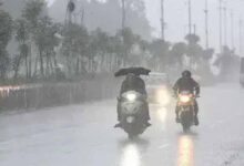 barish 20