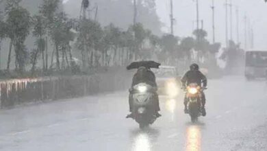 barish 20