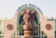 cg vidhan