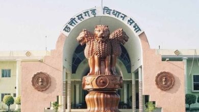 cg vidhan
