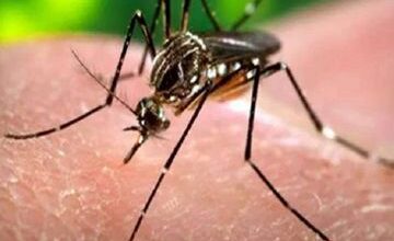 WE