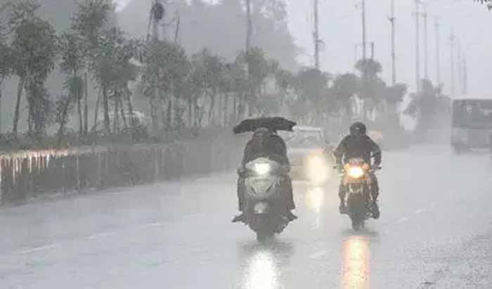 barish 31