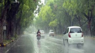 barish8 7