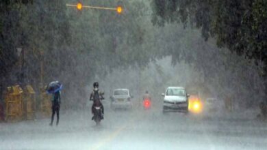 barish up