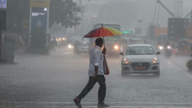 rain A 24 1