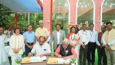 6353351f 98dd 4001 ae11 f6d28deddb4f