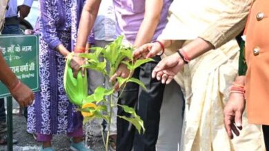 1758809859 d5c5af3ad2c153b3f03b